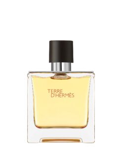 TERRÉ